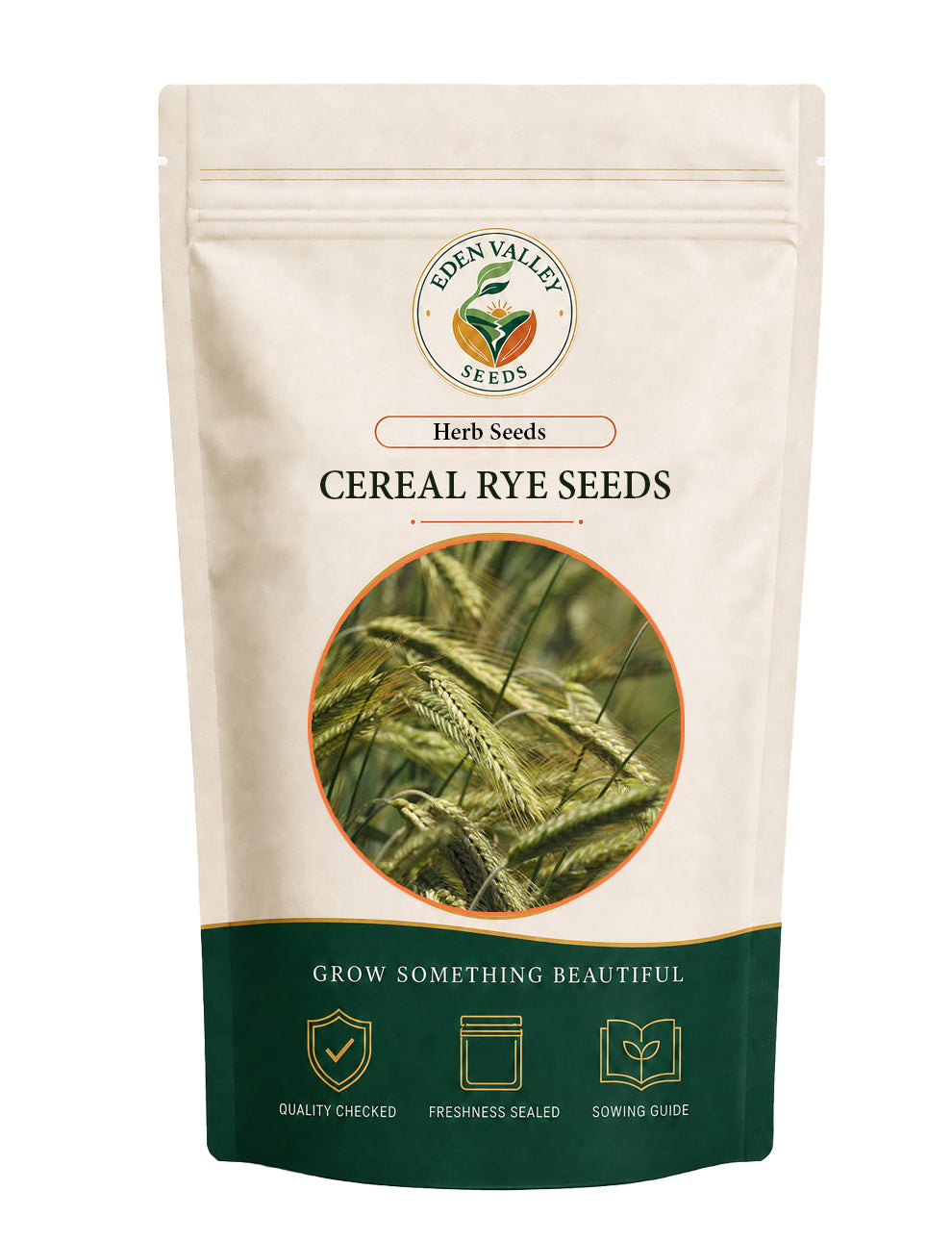 Cereal Rye Seeds with green grass-like growth for garden and crop planting