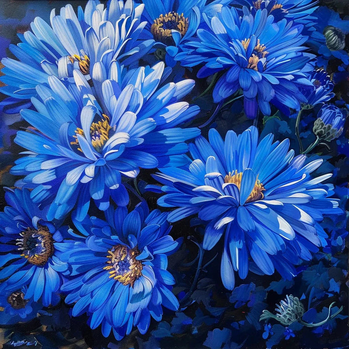 Blue Aster flower seeds