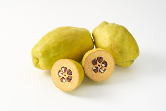 Graines de cognassier de Chine pour la plantation – Graines de jardin ancestrales non OGM