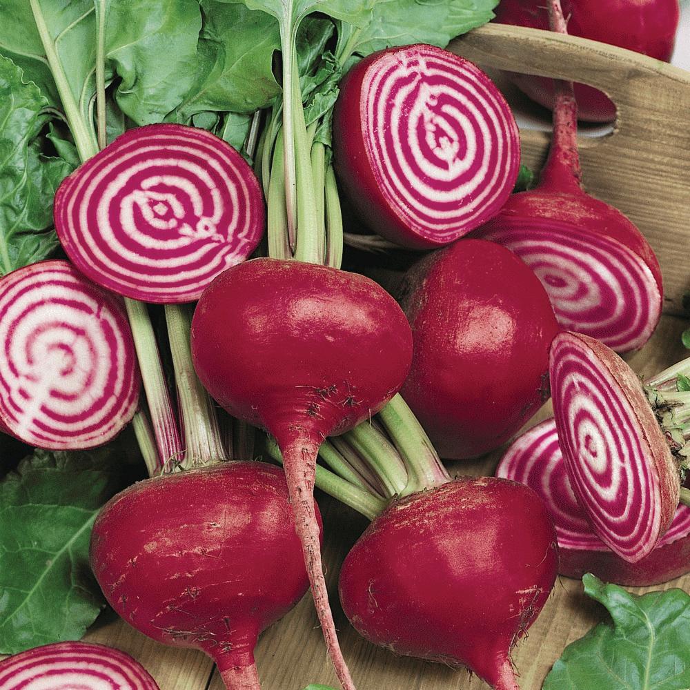 Chioggia Beet Seeds