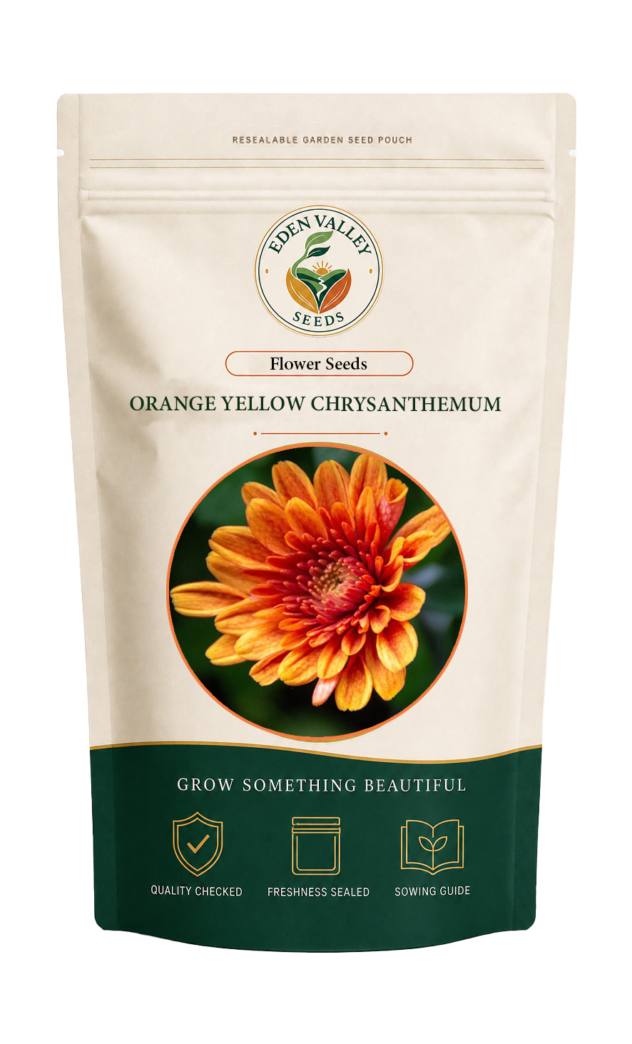 Chrysanthemum Orange Yellow Flower Seeds for planting