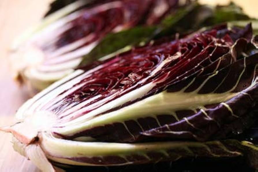Castelfranco Radicchio Seeds
