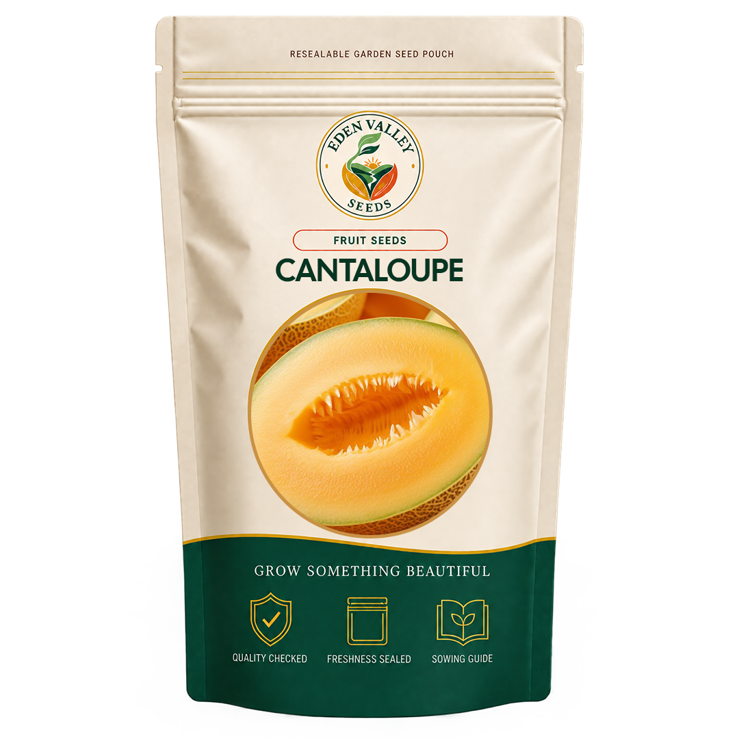 Cream Cantaloupe Seeds for home gardens