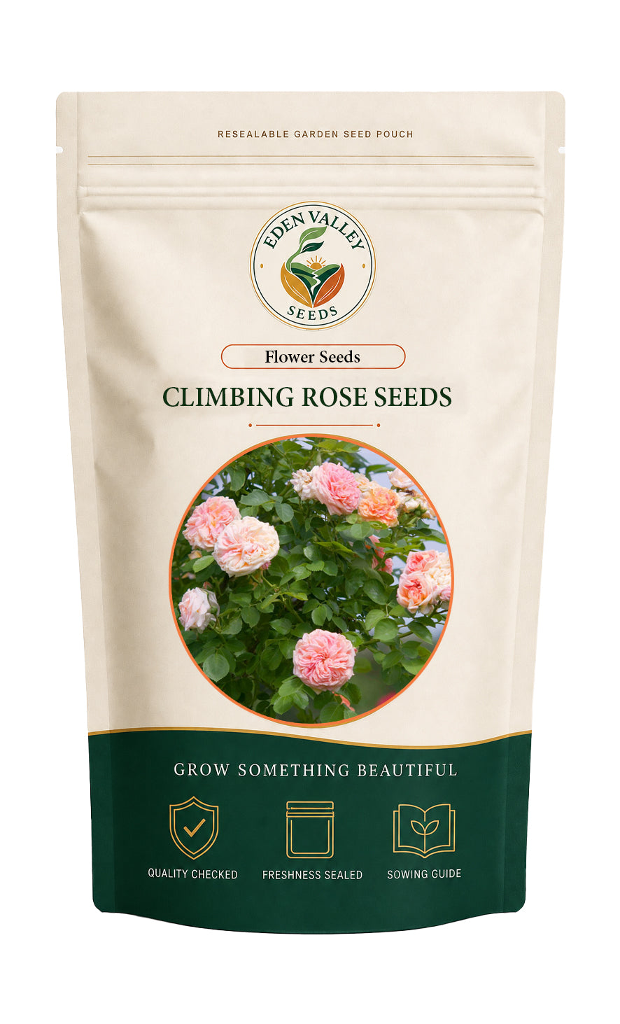 Cream Climbing Rose Seeds for Planting for growing elegant roses in home gardens