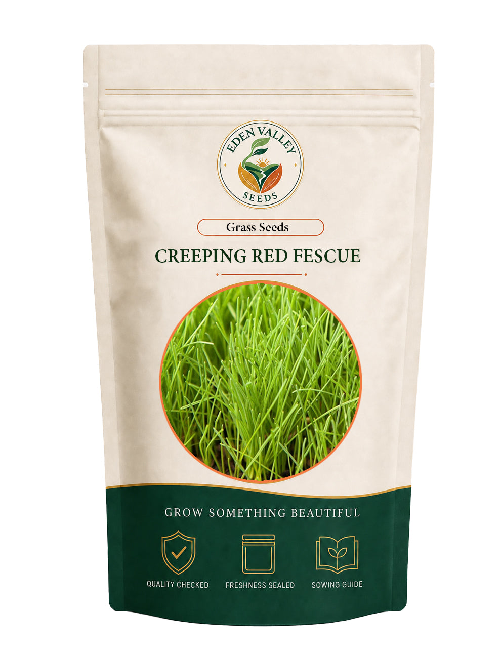 Creeping Red Fescue grass growing in a lawn