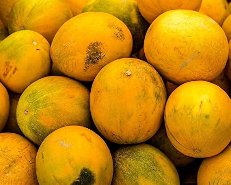 Kolkhoznitsa Melon Cucumis melo Fruit Seeds for Planting – Heirloom Non-GMO Garden Seeds