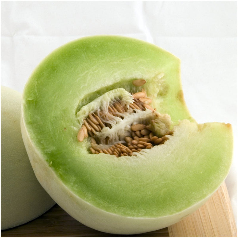 Honeydew Melon Cucumis melo Fruit Seeds for Planting – Heirloom Honeydew Melon Seeds
