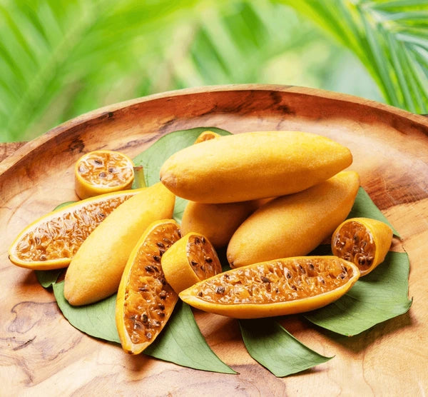 Banana Passion Fruit Seeds for Planting – Heirloom Non-GMO Garden Seeds
