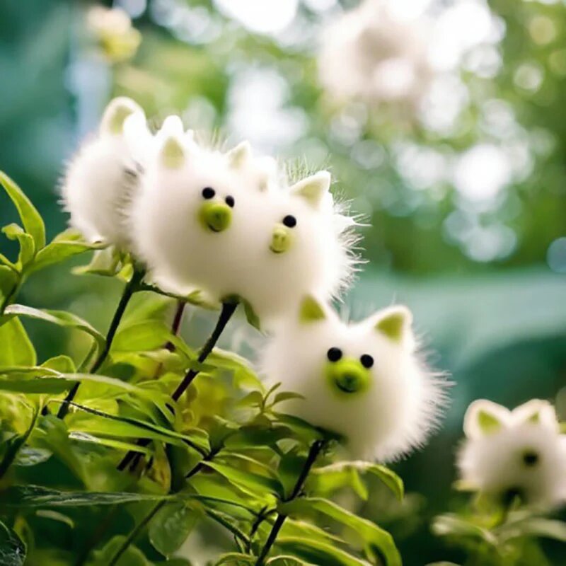 Cat’s Eye Dazzle Cute Pig Flower displayed as an ornamental garden flower, highlighting its distinctive appearance for home gardening.