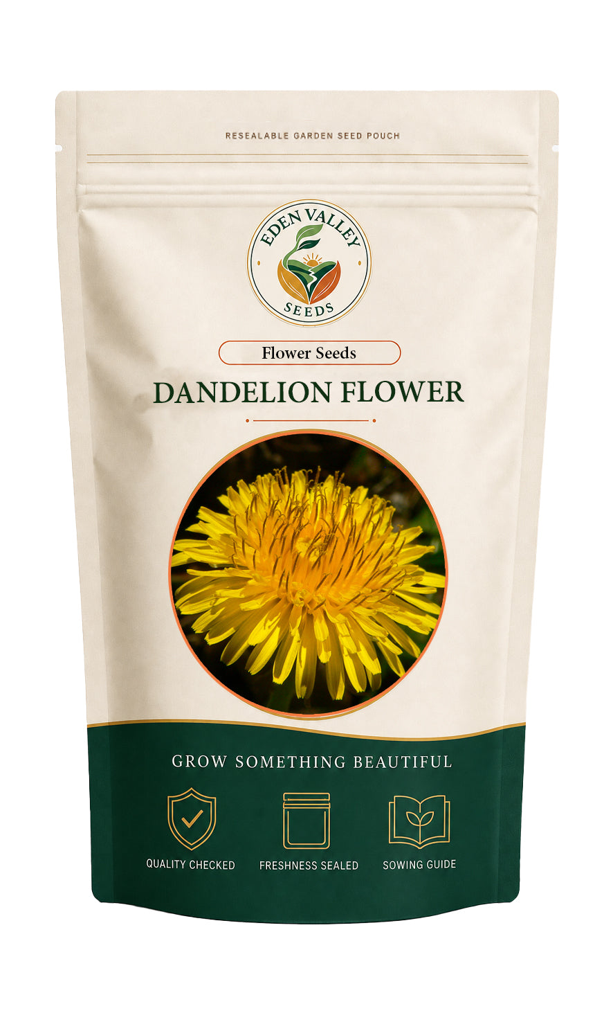 Dandelion flowers blooming in a garden