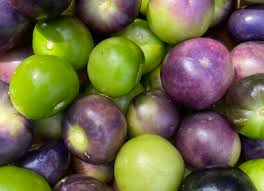 Purple Tomatillo Seeds
