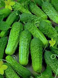 Armenian Cucumber Seeds