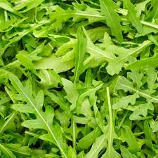 Rocket Pegasus Lettuce Seeds for Planting – Heirloom Garden Seeds