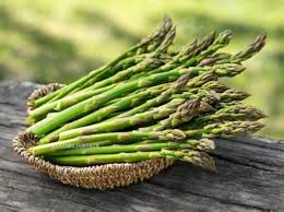 Wild Asparagus Seeds for Planting – Asparagus Garden Seeds