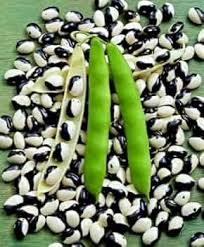 Black & White Orka Bean Seeds