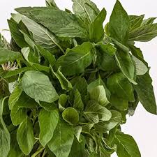 Callaloo Seeds for Planting – Heirloom Leafy Green Seeds