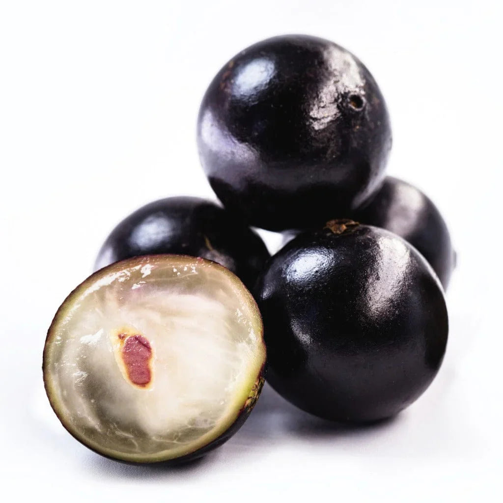 black jabuticaba seeds