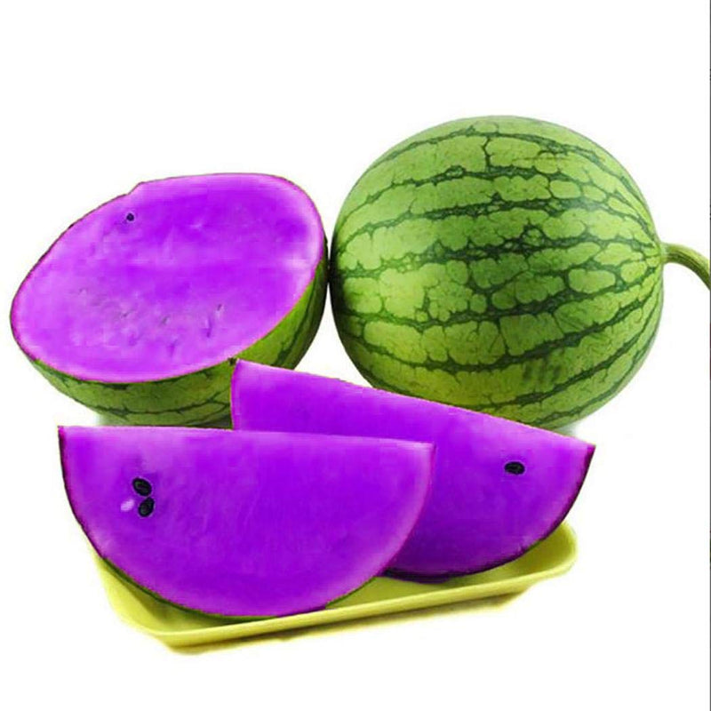 Violet Watermelon Fruit Seeds for Planting – Heirloom Non-GMO Garden Seeds