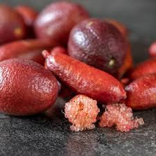 Finger Lime Fruit Seeds for Planting – Australian Citrus Garden Seeds