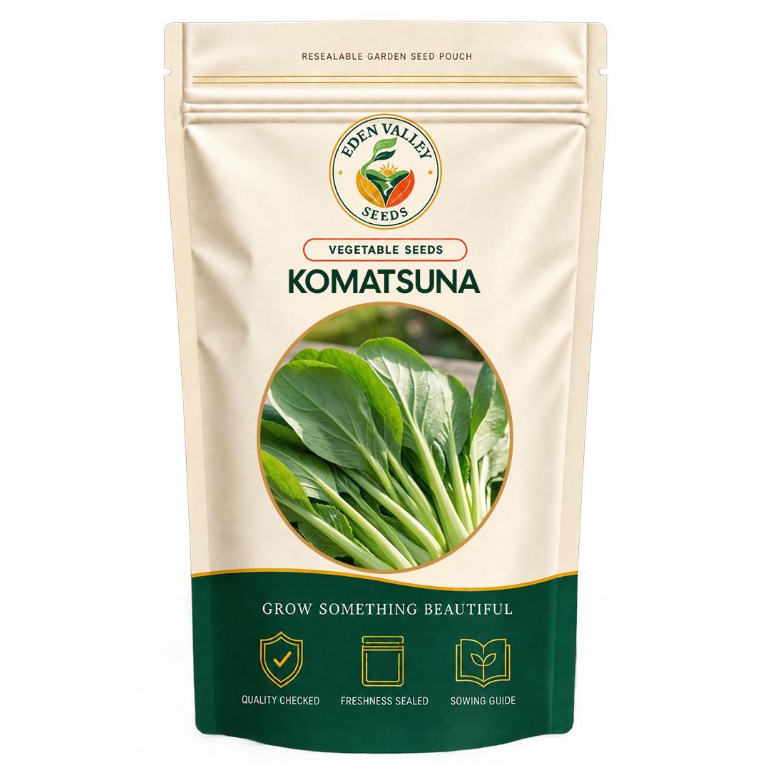 Fresh Komatsuna plant with broad green leaves