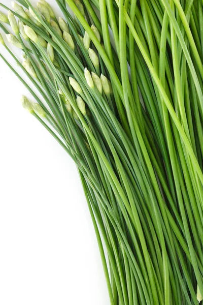 Chinese Leek Vegetable Seeds for Planting – Heirloom Non-GMO Garden Seeds