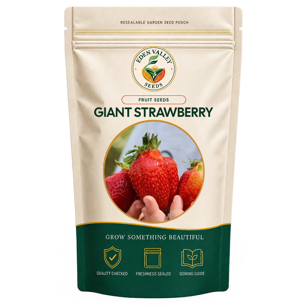 Giant Strawberry Ananassa Seeds for planting