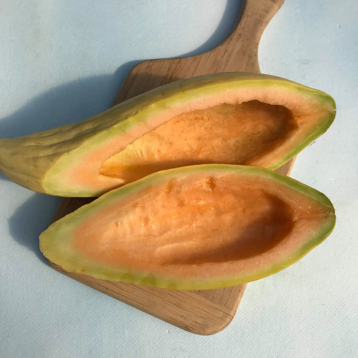 Gold Banana Melon Fruit Seeds for Planting for Growing Elongated Golden Melons