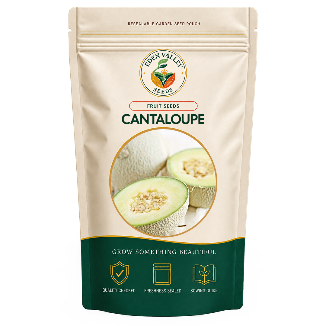 Green and White Cantaloupe Seeds for home gardens