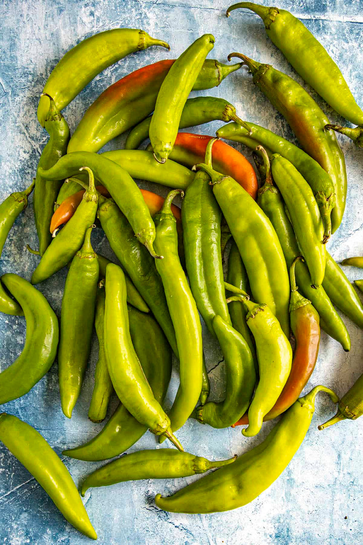 Hatch pepper seeds for planting, featuring New Mexico-style chile peppers growing on healthy green plants in a sunny vegetable garden.