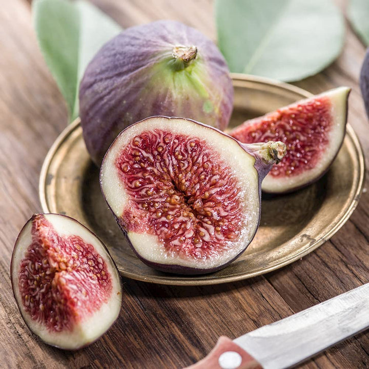 honey fig seeds