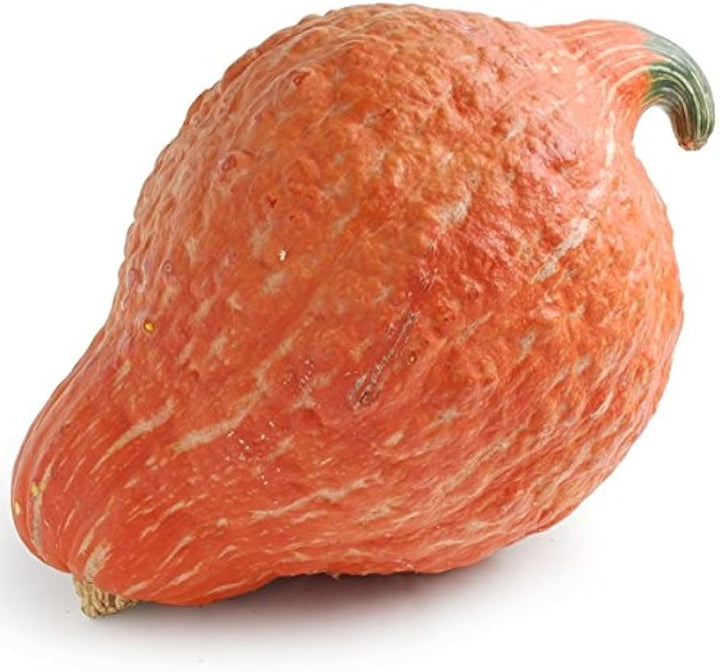Golden Hubbard Winter Squash Seeds