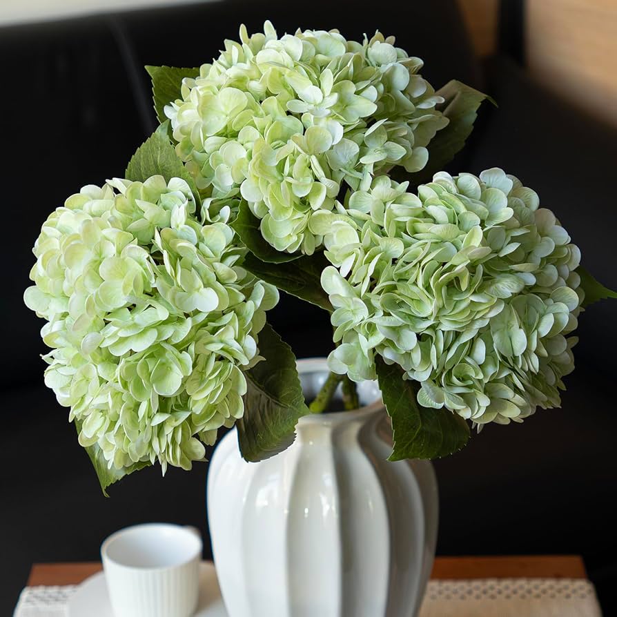 Hydrangea Light Green Flower Seeds for Planting
