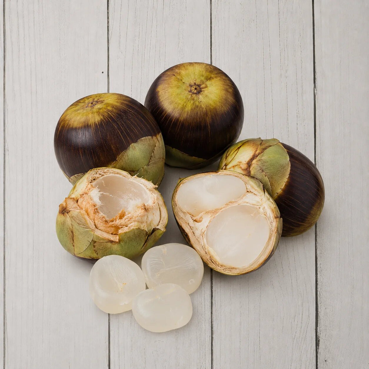 Ice Apple Seeds – Borassus flabellifer Palmyra Palm seeds for planting