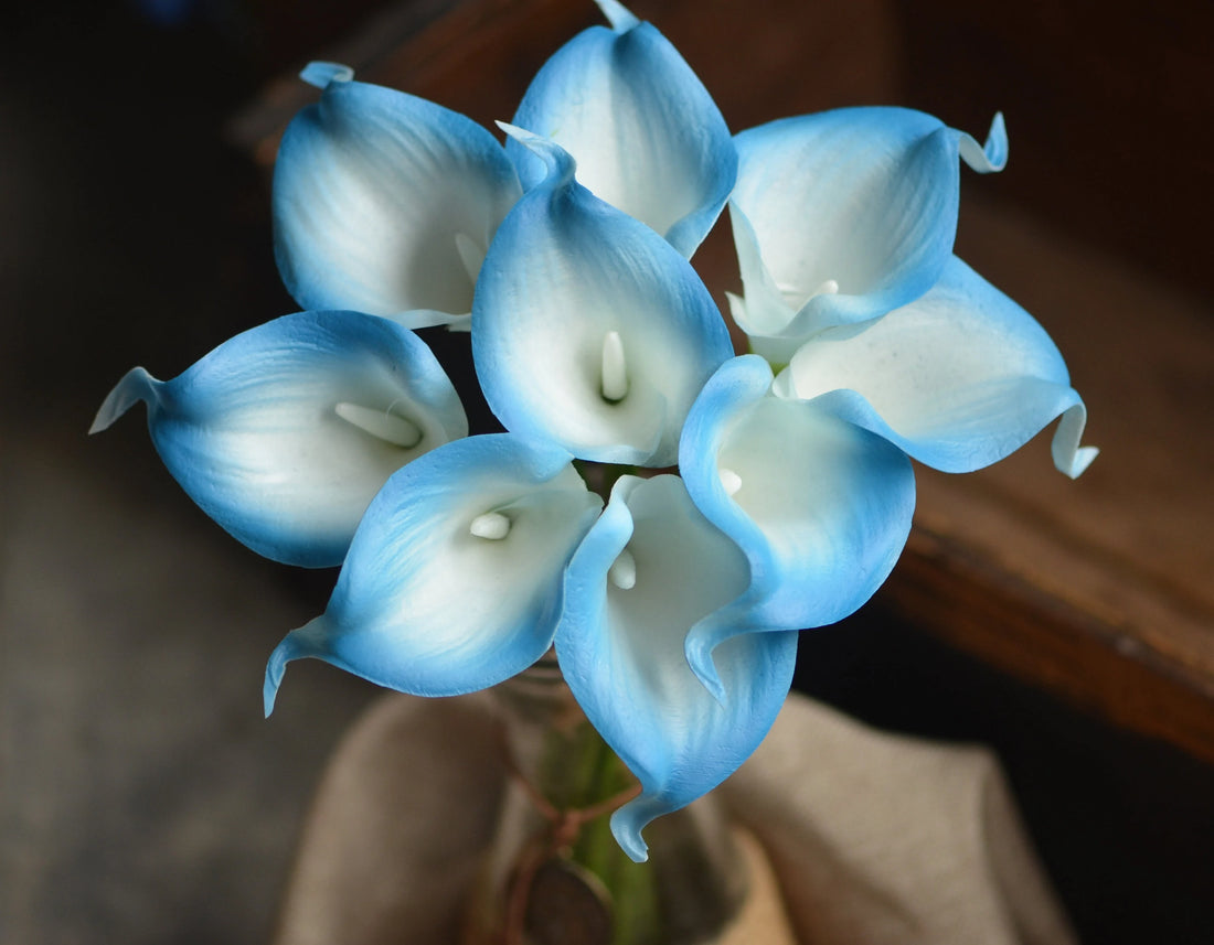 Sky Blue flower seeds