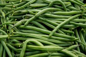 Blue Lake Pole Bean Seeds for Planting – Heirloom Climbing Bean Seeds
