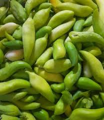 Cyclanthera Seeds
