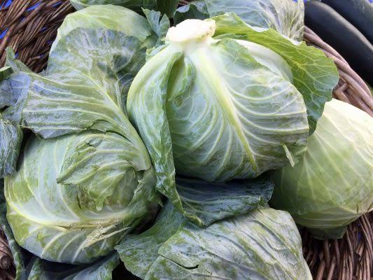 Sour Cabbage Vegetable Seeds for Home Gardens and Fresh Harvests