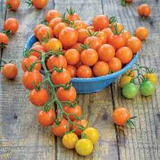 Orange Grape Tomato Seeds