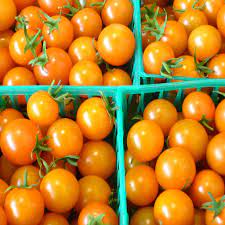 Orange Grape Tomato Seeds for Planting – Heirloom Non-GMO Garden Seeds
