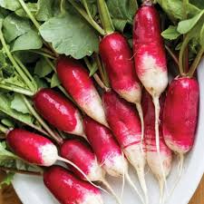 Radish Seeds