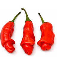Peter Pepper Seeds for Planting – Heirloom Non-GMO Garden Seeds