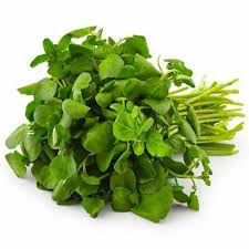 Papalo Herb Seeds for Planting – Heirloom Non-GMO Garden Seeds