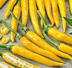 Bedder Pepper Seeds
