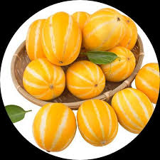 Neungju Pepper Seeds for Planting – Heirloom Garden Seeds