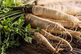 Hamburg Root Parsley Seeds for Planting – Heirloom Garden Seeds