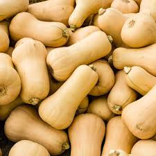 Butternut Squash Seeds for Planting – Heirloom Garden Seeds