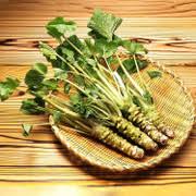 Horseradish Seeds for Planting – Heirloom Garden Seeds