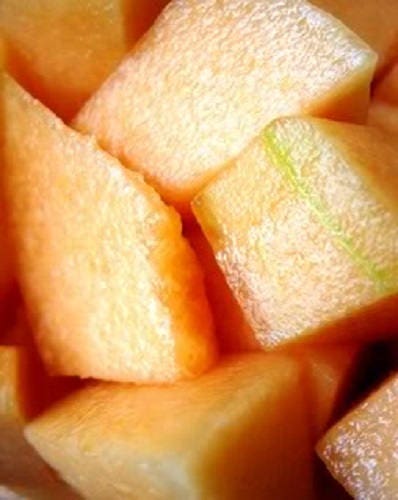 Iroquois Cantaloupe Melon Cucumis melo Fruit Seeds for Planting – Heirloom Non-GMO Garden Seeds