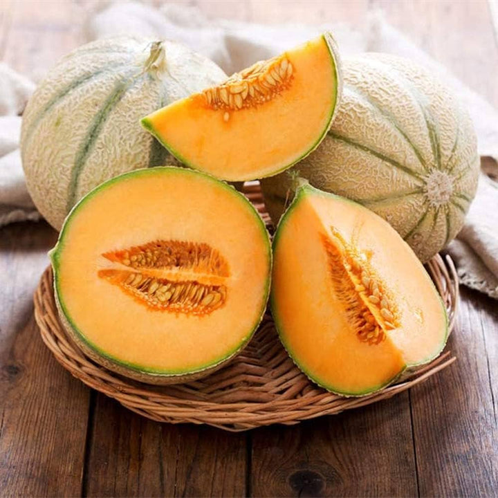 iroquois cantaloupe seeds