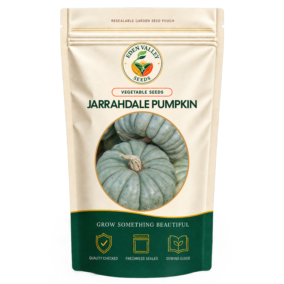 Jarrahdale Pumpkin Vegetable Seeds for home gardens